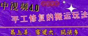 中视频4.0赛道:新手福音,一小时制作,三天过计划,7天看效果【揭秘】-资源云