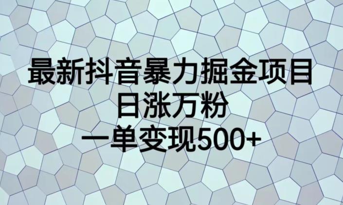 最新抖音暴力掘金项目，日涨万粉，一单变现500+【揭秘】-资源云