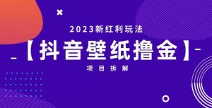 抖音壁纸小程序创作者撸金项目,2023新红利玩法【项目拆解】-资源云