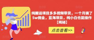 纯搬运项目多多视频带货,一个月搞了5w佣金,蓝海项目,纯小白也能操作【揭秘】-资源云