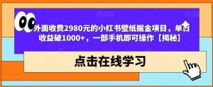 外面收费2980元的小红书壁纸掘金项目，单日收益破1000+，一部手机即可操作【揭秘】-资源云