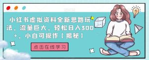 小红书虚拟资料全新思路玩法,流量巨大,轻松日入300+,小白可操作【揭秘】-资源云