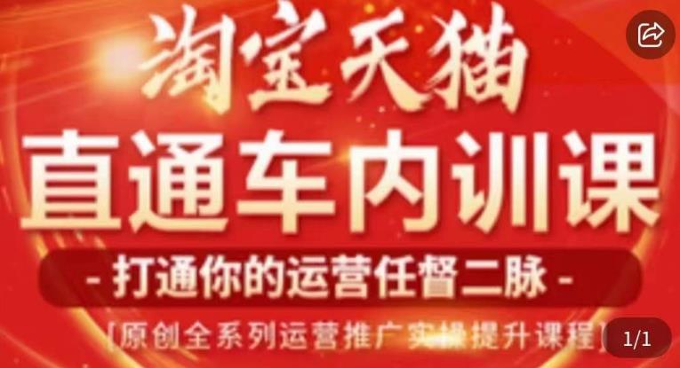 天问电商·2023淘宝天猫直通车内训课，零基础学起直通车运营实操课程-资源云