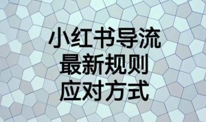 小红书导流最新规则应对方式【揭秘】-资源云