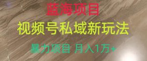 蓝海项目,视频号私域新玩法,暴力项目月入1万+【揭秘】-资源云
