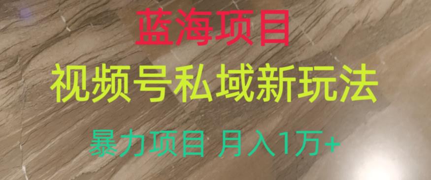 蓝海项目，视频号私域新玩法，暴力项目月入1万+【揭秘】-资源云