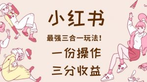 小红书最强三合一玩法，一份操作获得三份收益！【揭秘】-资源云