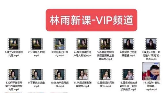 林雨新课VIP频道，玩赚私域/朋友圈/社群-资源云