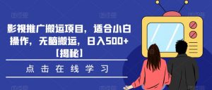 影视推广搬运项目，适合小白操作，无脑搬运，日入500+【揭秘】-资源云