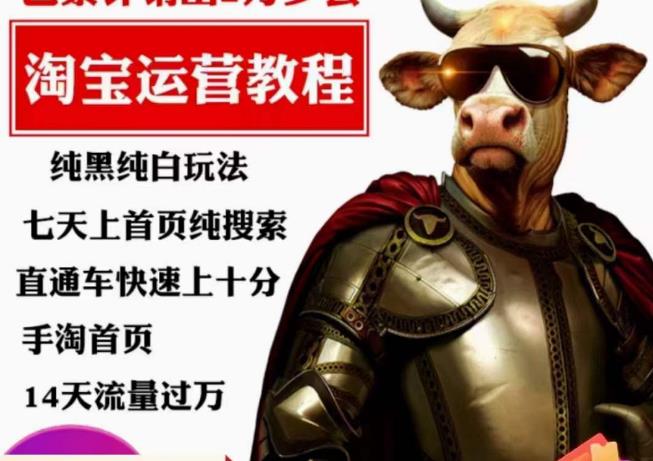 猫老师·淘系算法逆向解密，​纯黑纯白玩法，七天上首页纯搜索，手淘首页14天流量过万-资源云