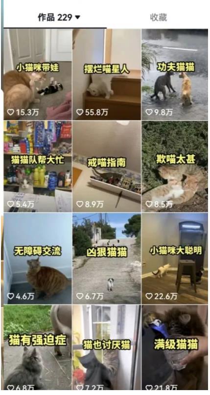 拆解：抖音盘点类中视频变现副业项目，视频版一条龙大解析分享给你-资源云