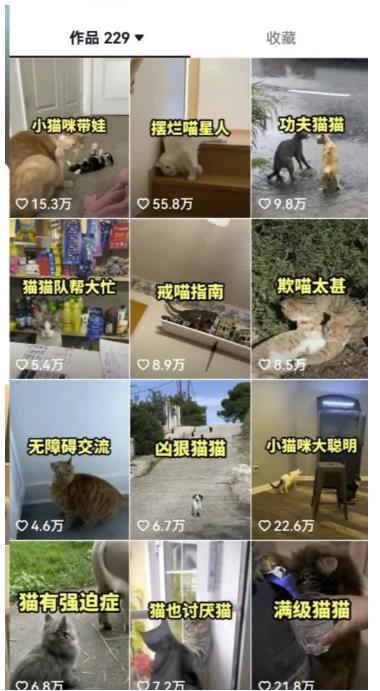 拆解抖音盘点类中视频变现副业项目，视频版一条龙大解析分享给你【视频课程】-资源云