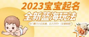 2023宝宝起名全新蓝海玩法,冷门暴力小白实操,日入1000+(全套教程)【揭秘】-资源云
