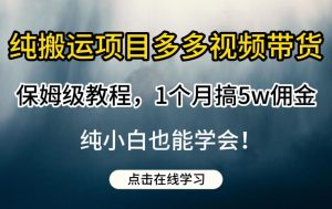 纯搬运项目多多视频带货保姆级教程,1个月搞5w佣金,纯小白也能学会【揭秘】-资源云