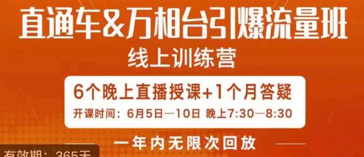 直通车&万相台引爆流量班，6天打通你开直通车·万相台的任督二脉-资源云