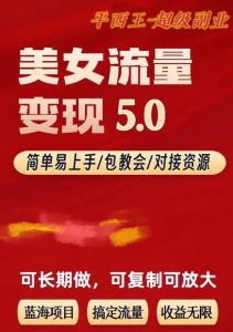 TK美女短视频变现项目无限复制（升级版），全网最高性价比项目【揭秘】-资源云