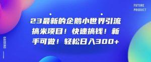 23最新的企鹅小世界引流搞米项目!快速搞钱!新手可做!轻松日入300+【揭秘】-资源云