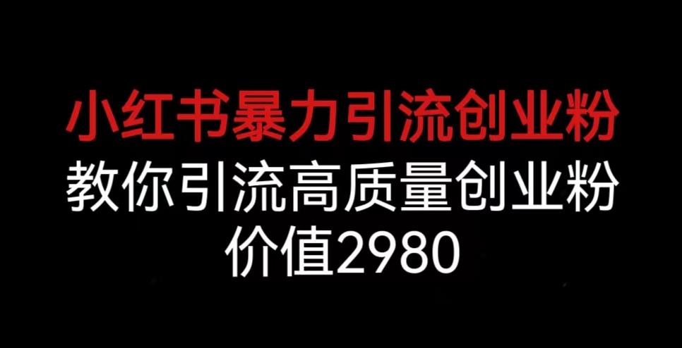 小红书暴力引流创业粉，教你引流高质量创业粉，价值2980【揭秘】-资源云