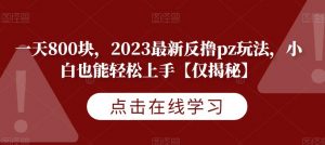 一天800块，2023最新反撸pz玩法，小白也能轻松上手【仅揭秘】-资源云