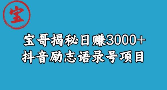 宝哥揭秘日赚3000+抖音励志语录号短视频变现项目-资源云