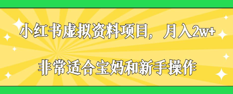 小红书虚拟资料项目，月入2w+，非常适合宝妈和新手操作【揭秘】-资源云
