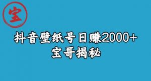 宝哥抖音壁纸号日赚2000+,不需要真人露脸就能操作【揭秘】-资源云