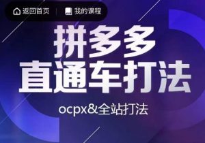 互力·拼多多直通车打法，ocpx&全站打法-资源云