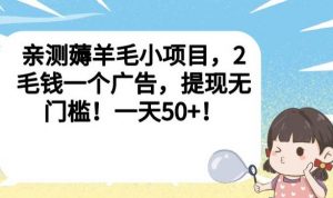亲测薅羊毛小项目,2毛钱一个广告,提现无门槛!一天50+【揭秘】-资源云