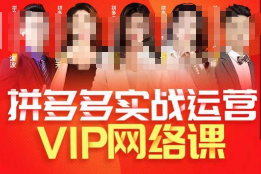 推易拼多多VIP全套直播课程，拼多多店铺实操玩法+实战玩法选款内功+直通车高阶等-资源云