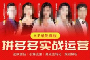 2023推易拼多多实战运营,选款测品、引爆流量、高点击转化、规则解析-资源云