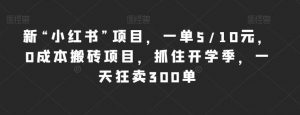 新“小红书”项目,一单5/10元,0成本搬砖项目,抓住开学季,一天狂卖300单【揭秘】-资源云