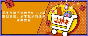 拼多多新手运营从0-100单策划课程,从零起步到爆单详细教程-资源云