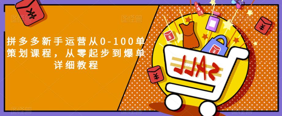 拼多多新手运营从0-100单策划课程，从零起步到爆单详细教程-资源云