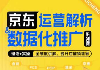 京东运营解析与数据化推广系列课，全维度讲解京东运营逻辑+数据化推广提升店铺销售额-资源云