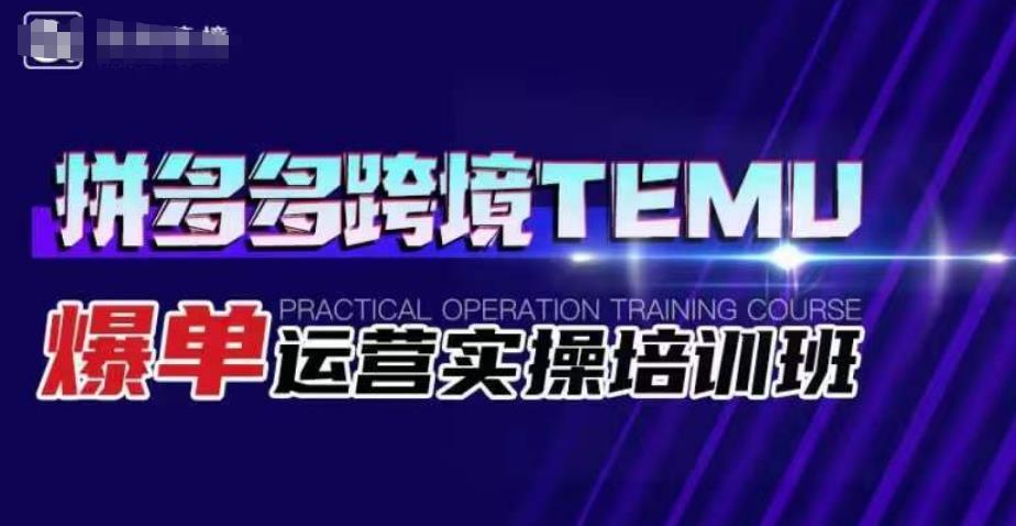 拼多多跨境TEMU爆单运营实操培训班，海外拼多多的选品、运营、爆单-资源云