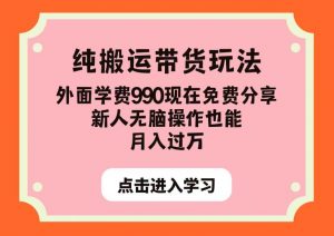 纯搬运带货玩法，外面学费990现在免费分享，新人无脑操作也能月入过万【揭秘】-资源云