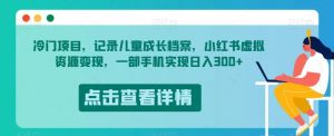 冷门项目,记录儿童成长档案,小红书虚拟资源变现,一部手机实现日入300+【揭秘】-资源云