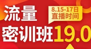 秋秋线上流量密训班19.0,打通流量关卡,线上也能实战流量破局-资源云