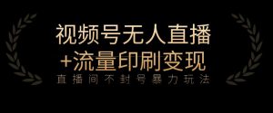 全网首发视频号不封号无人直播暴利玩法+流量印刷机变现,日入1000+【揭秘】-资源云