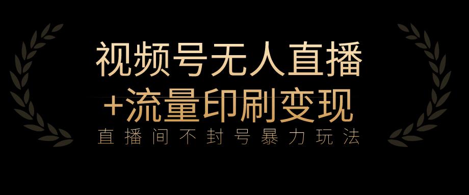全网首发视频号不封号无人直播暴利玩法+流量印刷机变现，日入1000+【揭秘】-资源云