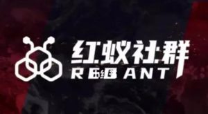 社群运营:红蚁社群【48节落地系统课程+2000人高端社群】-资源云