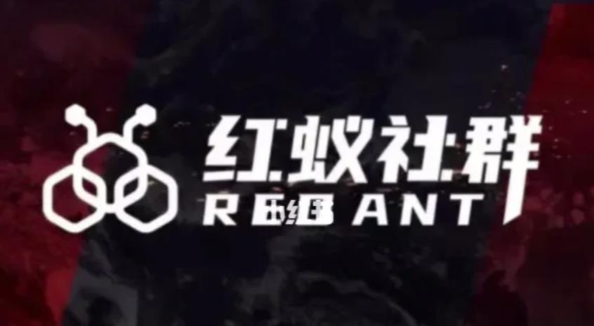 社群运营：红蚁社群【48节落地系统课程+2000人高端社群】-资源云