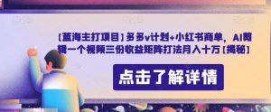 【蓝海主打项目】多多v计划+小红书商单,AI剪辑一个视频三份收益矩阵打法月入十万【揭秘】-资源云