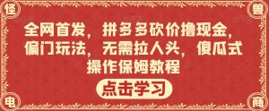 全网首发,拼多多砍价撸现金,偏门玩法,无需拉人头,傻瓜式操作保姆教程【揭秘】-资源云