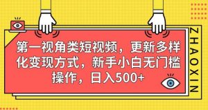 第一视角类短视频,更新多样化变现方式,新手小白无门槛操作,日入500+【揭秘】-资源云