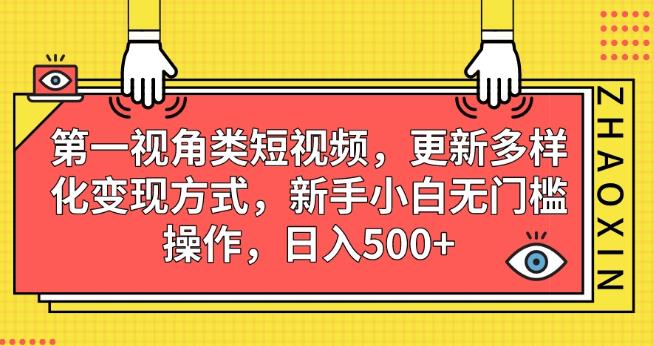 第一视角类短视频，更新多样化变现方式，新手小白无门槛操作，日入500+【揭秘】-资源云