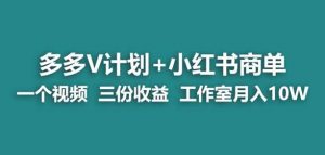【蓝海项目】多多v计划+小红书商单一个视频三份收益工作室月入10w-资源云