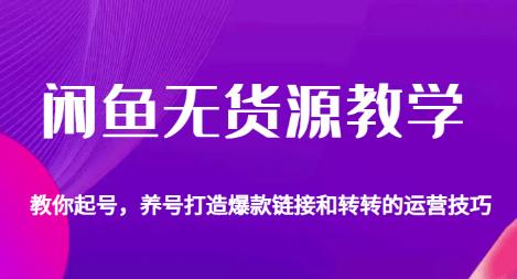 闲鱼无货源教学，教你起号，养号打造爆款链接以及转转的运营技巧-资源云