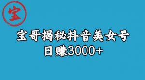 宝哥揭秘抖音美女号玩法,日赚3000+【揭秘】-资源云