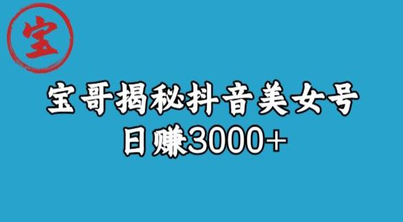 宝哥揭秘抖音美女号玩法，日赚3000+【揭秘】-资源云